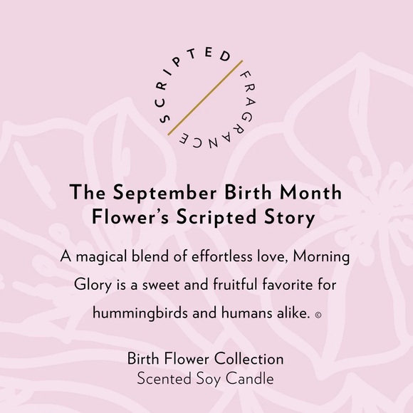 NEW 100% Soy Wax Scripted Fragrance September Birth Month Flower Soy Candle - Picture 5 of 9